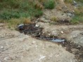 /album/prieskum-pravdepodobnej-environmentalnej-zataze-dezerice-skladka-veronika/prusak-vyluhu-na-teren-jpg/